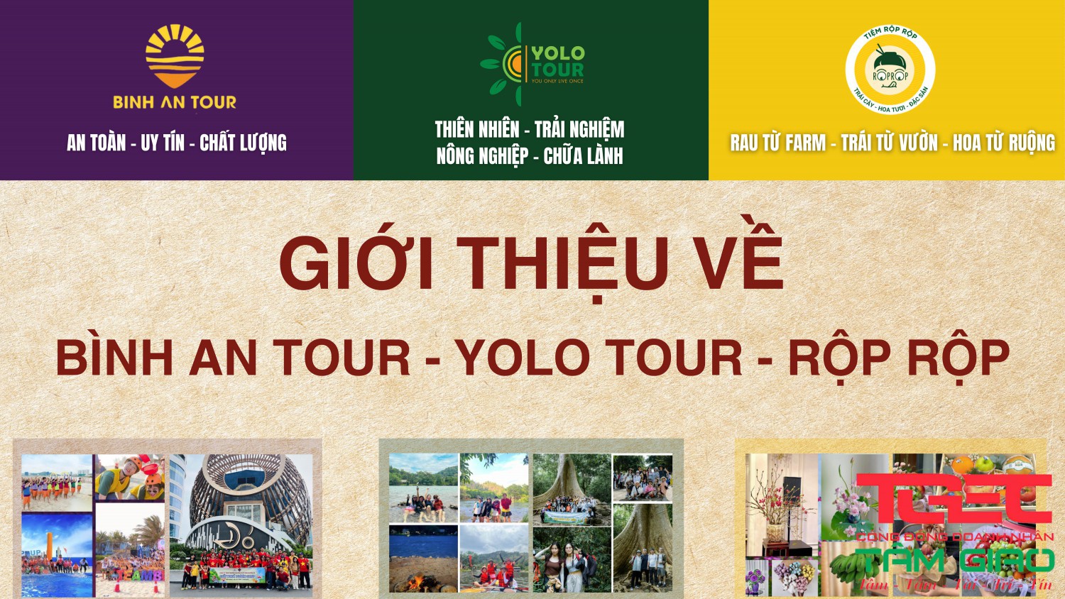 gioi thieu binh an tour