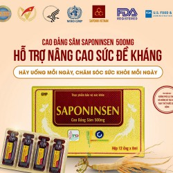 Cao đảng sâm SAPONINSEN 500Mg