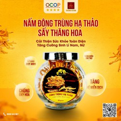 Nấm đông trùng hạ thảo khô